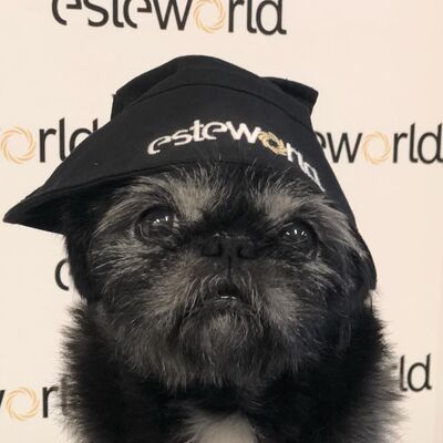 Diessel (mascotte Kantoor Benelux)