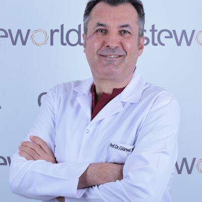 Prof. Dr. Gursul Turgut