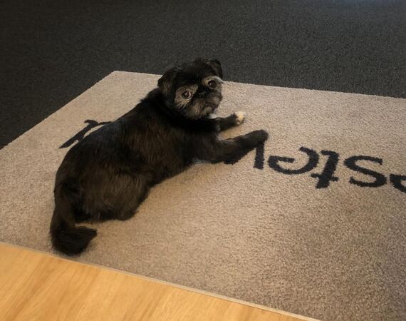 Diessel (mascotte Kantoor Benelux)