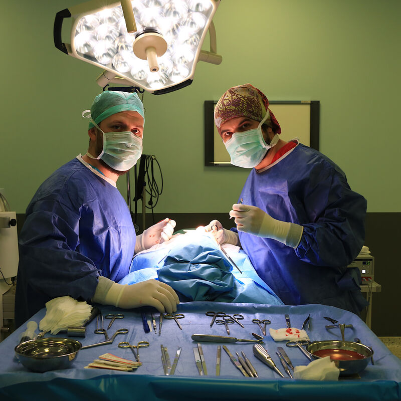 Bij Esteworld NL word alles voor je geregeld 