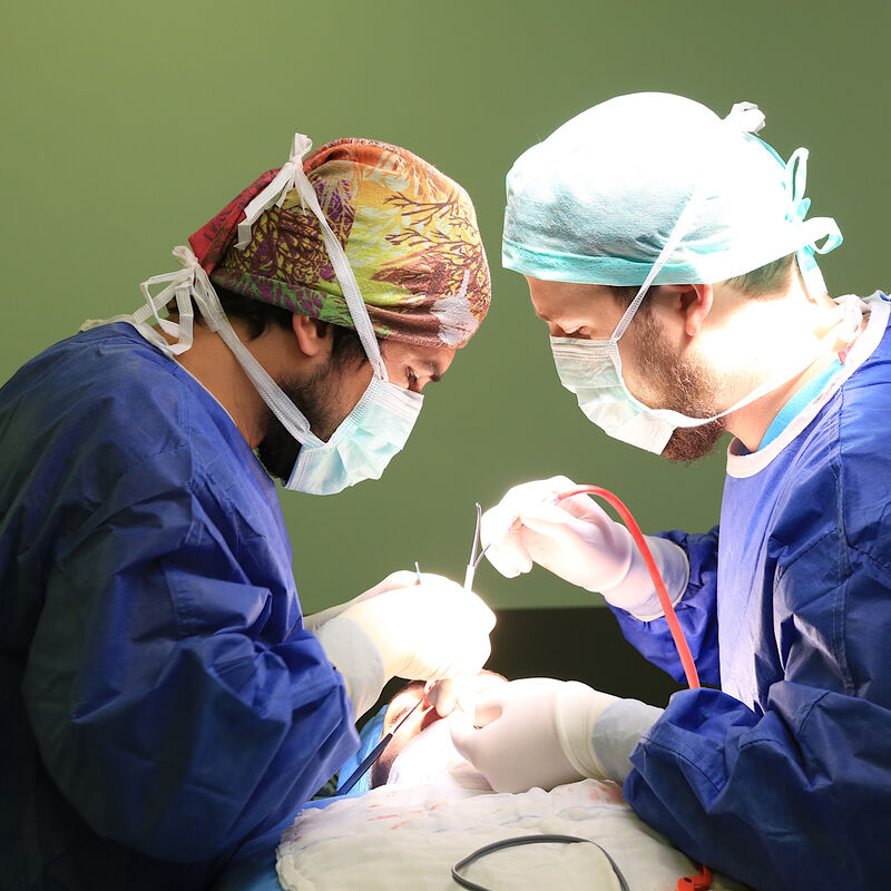 Bij Esteworld NL word alles voor je geregeld 