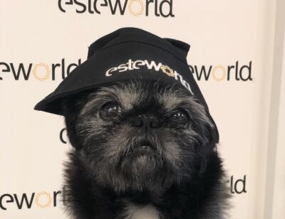 Diessel (mascotte Kantoor Benelux)